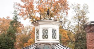The cupola on the roof above the Fellows Room, surrounded by fall leaves. An owl weathervane sits on top.