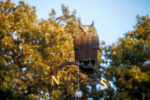The winking owl weathervane above Hyde Hall, lit by an afternoon sun.