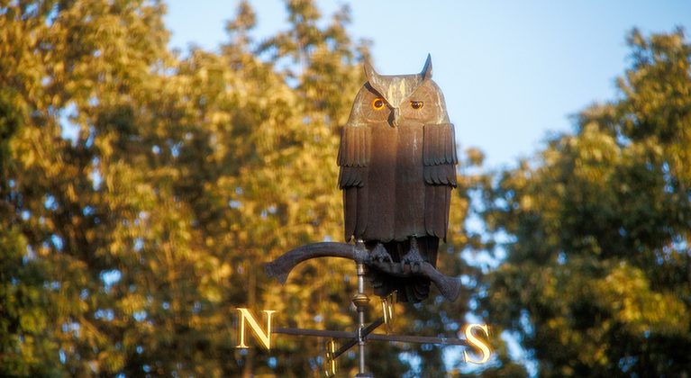 The winking owl weathervane above Hyde Hall, lit by an afternoon sun.