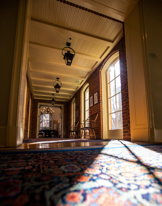 Sunlight pours onto the rug outside the Fellows Gallery